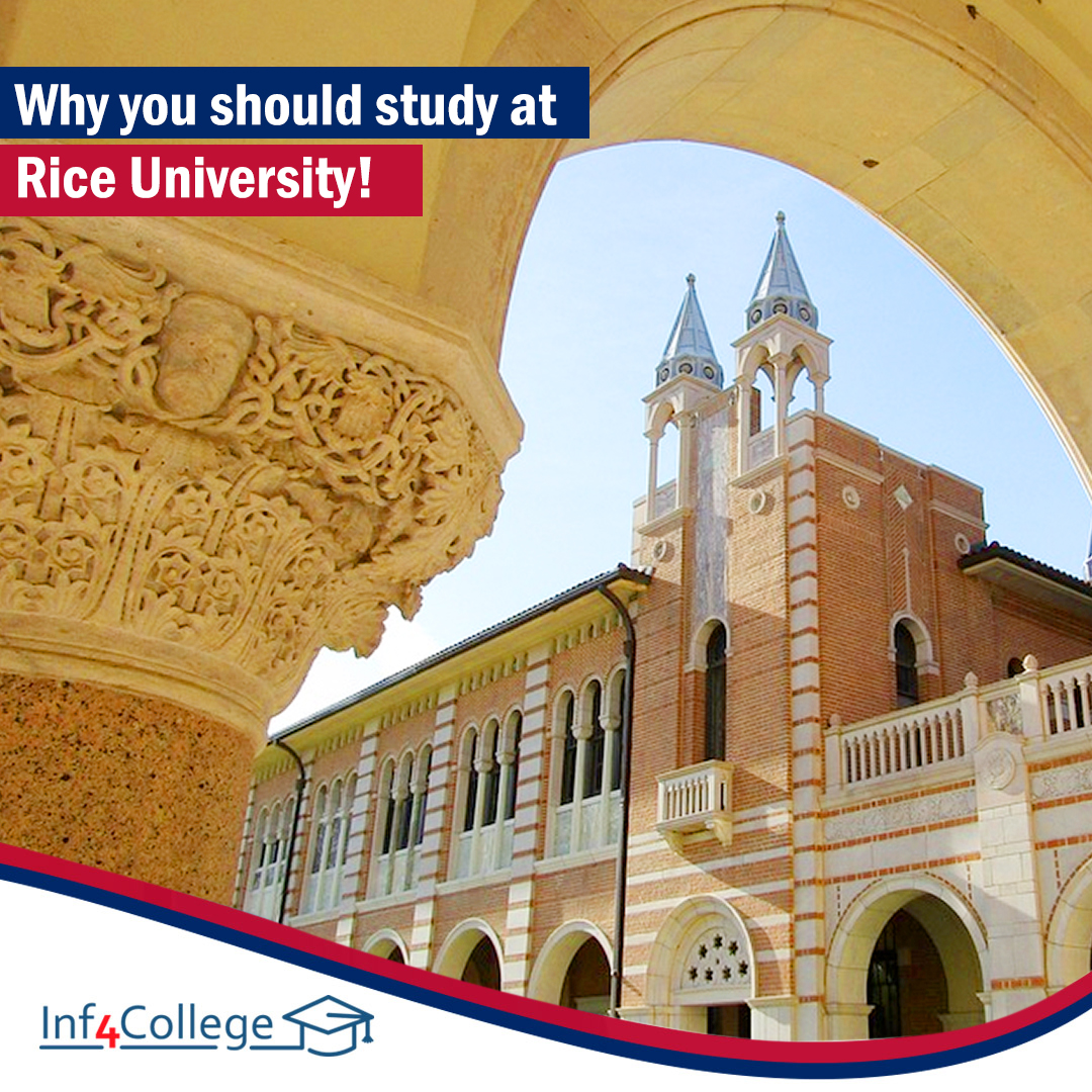 Inf4College's tweet photo. Take your education to the next level with Rice University.

Rice University is home to a world-class faculty and offers an innovative approach to education that prepares students for success in their future careers. 

#RiceU #RiceUniversity #RiceSuccess https://t.co/5pQgrdxcnT