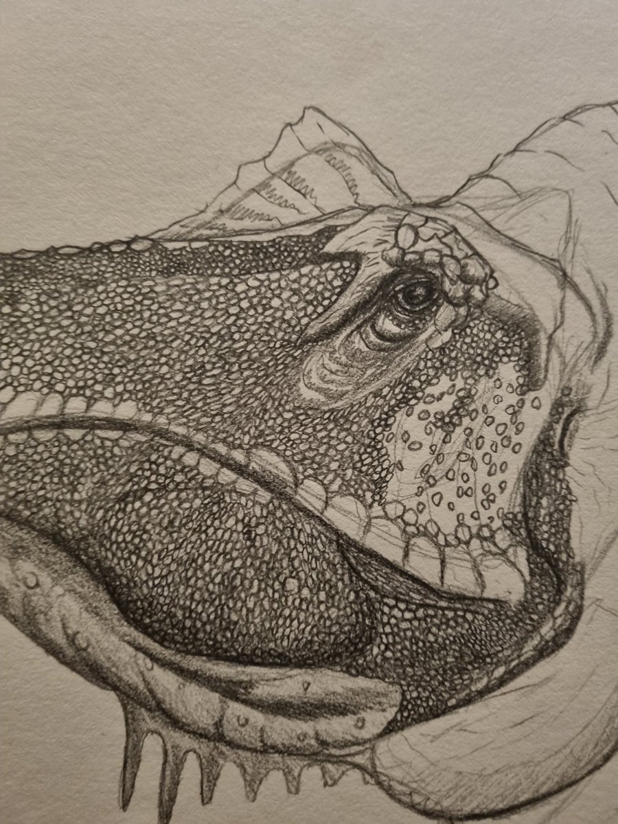 Alloverasaur's tweet photo. Proud of this bad boi

Fav dino ^_^ 

#baryonyx #bayonyxwalkeri 

#alloverasaur #dinosaur #paleoart #paleoartist #artist #pencildrawing #sciart #eye #raptor #therapod #sketch #prehistoric #art https://t.co/4bmMo5ydeP