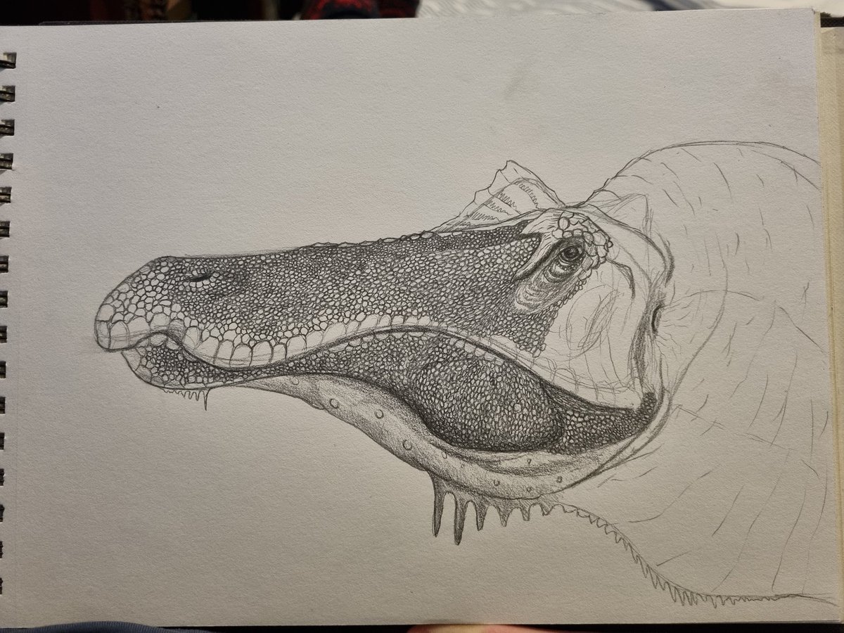 Alloverasaur's tweet photo. Proud of this bad boi

Fav dino ^_^ 

#baryonyx #bayonyxwalkeri 

#alloverasaur #dinosaur #paleoart #paleoartist #artist #pencildrawing #sciart #eye #raptor #therapod #sketch #prehistoric #art https://t.co/4bmMo5ydeP