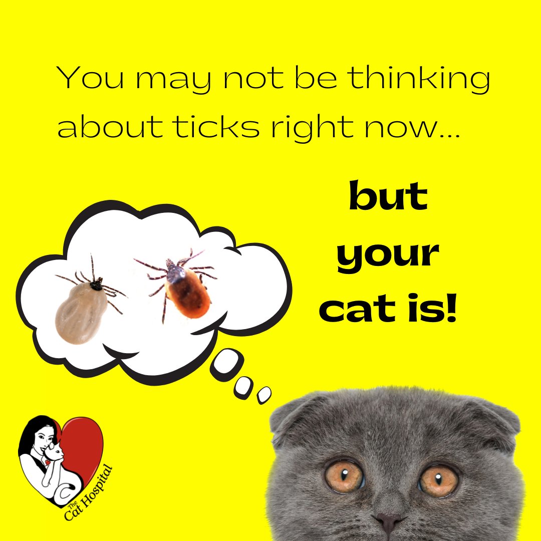 TheCatHospitals's tweet photo. As the weather changes from cool to warm, #ticks emerge from their winter slumber. Once temperatures hit 4Β°C consistently, they begin questing for their next meal. #Cats that go outside are at greater risk. Talk to your vet about tick prevention
#TickAwarenessMonth #catsoftwitter https://t.co/8G4ONJlLkc