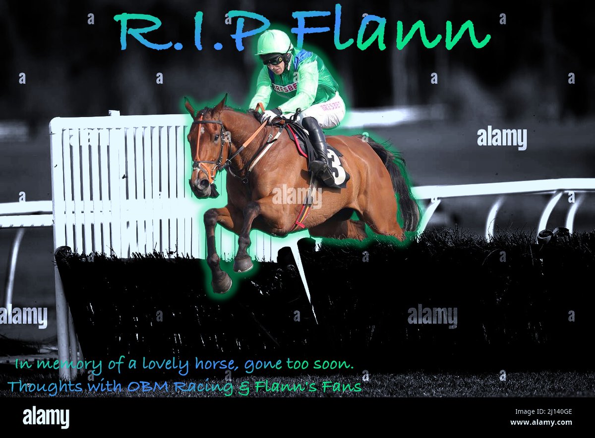 For Flann and all his connections: @OBMRacing , Flann's Fans and all the lads & lasses who knew him. 
An enthusiastic & lovely horse, gone far too soon.
#RIPBrian