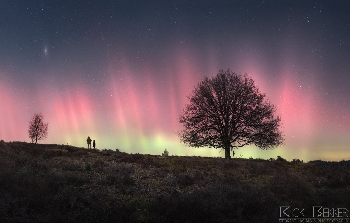 RBekker93's tweet photo. Nog maar een keer het fantastische noorderlicht van de afgelopen nacht! De Veluwe vormde het decor voor mijn voorgrond. Nu alleen nog wachten op die kleurrijke lichtshow, en die kwam er! https://t.co/hheWZJQShX