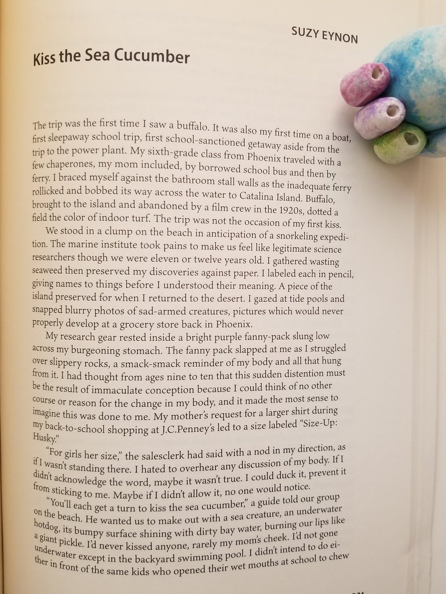 Got my copy of <a href="/PassagesNorth/">Passages North</a>! I have cnf in here, about being a fat kid from the desert on a school trip to the ocean. Thank you to the editors for all their work 🌊