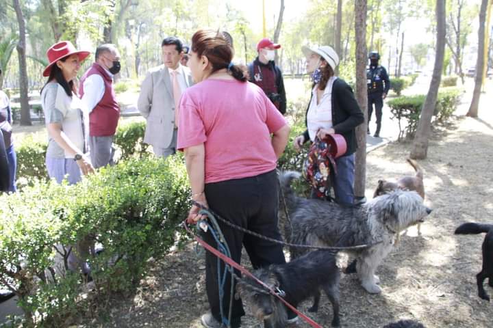 evelyn_parraA's tweet photo. Recorrí el #Parque de los Periodistas Ilustres para supervisar los trabajos de mantenimiento y de mejoramiento de imagen que llevamos a cabo en este lugar, y que ya disfrutan los vecinos de las colonias #DelParque, #JardínBalbuena, #AeronáuticaMilitar, entre otras. https://t.co/NyVwubd0wo