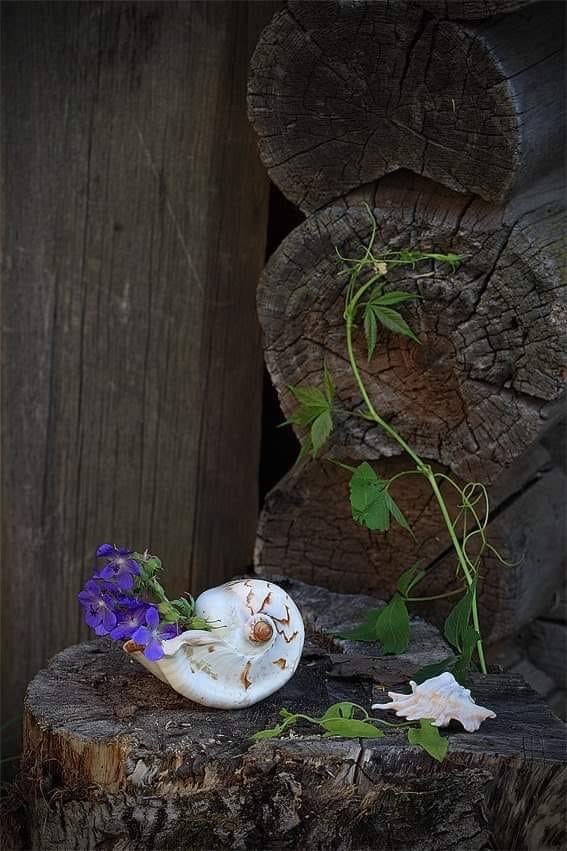 “Bin kez budadılar körpe dallarımızı, bin kez kırdılar.Yine çiçekteyiz işte yine meyvedeyiz.”