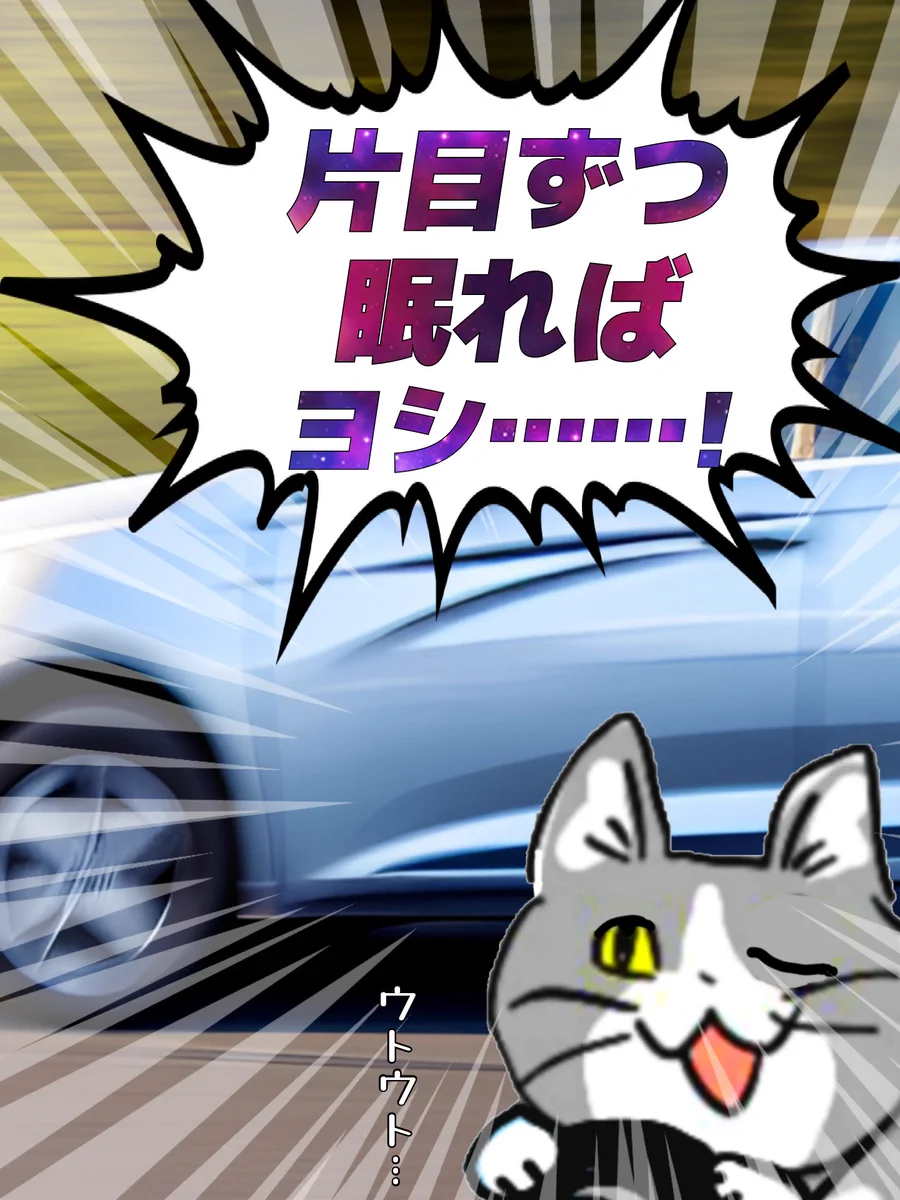 運転中にウトウト！ぜんぜんヨシじゃない片目ずつ眠る現場猫！