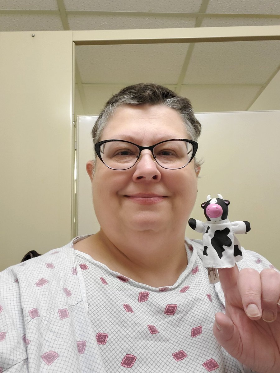 Chemoo the Chemootherapy Cow tweet media