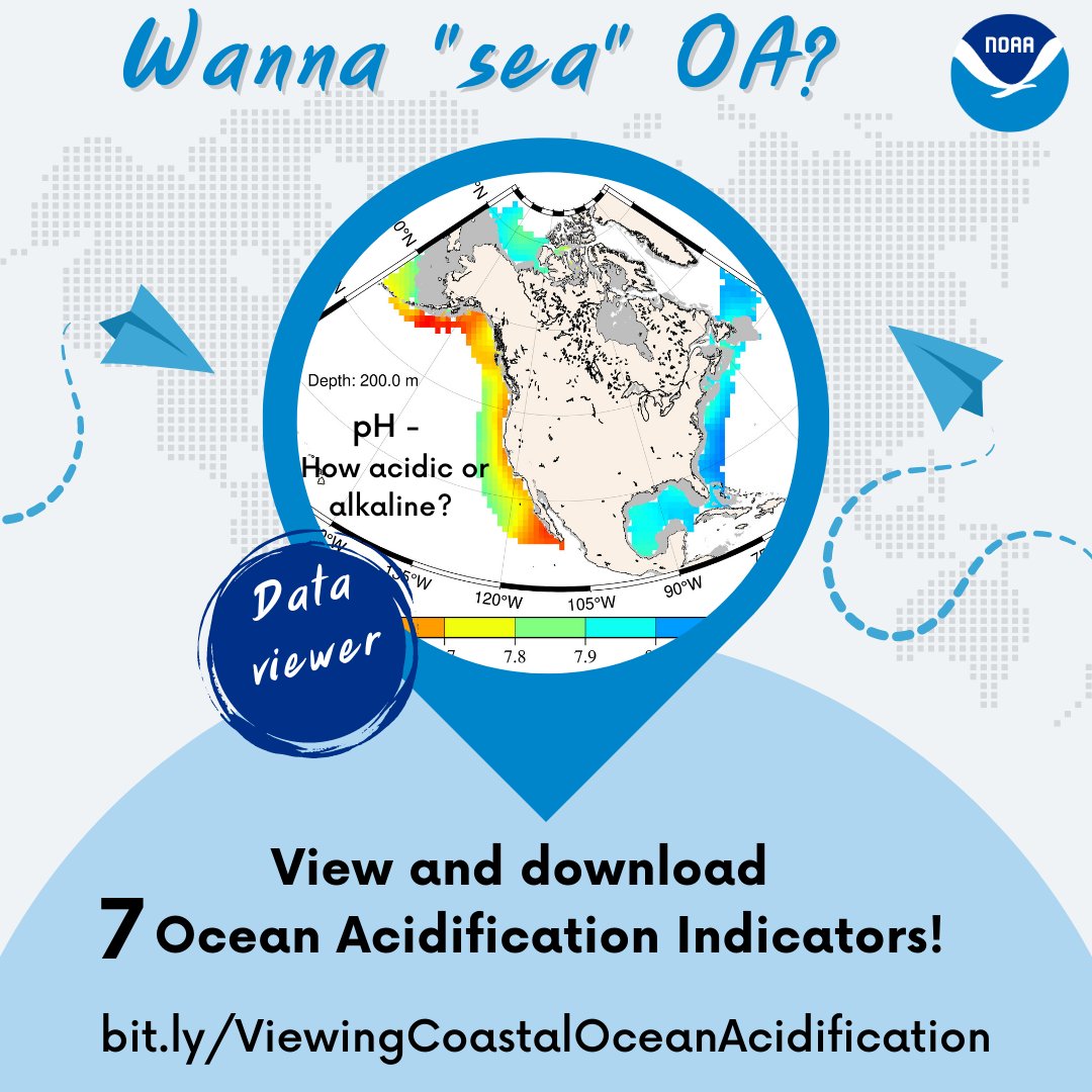 OA_NOAA's tweet photo. 📢Resource alert! New visualization tool for 7⃣ #OceanAcidification indicators from @NOAANCEI. 

https://t.co/ub8w2IeQOi

#OurChangingOcean #DataYouCanUse https://t.co/y6bzgTIgE7