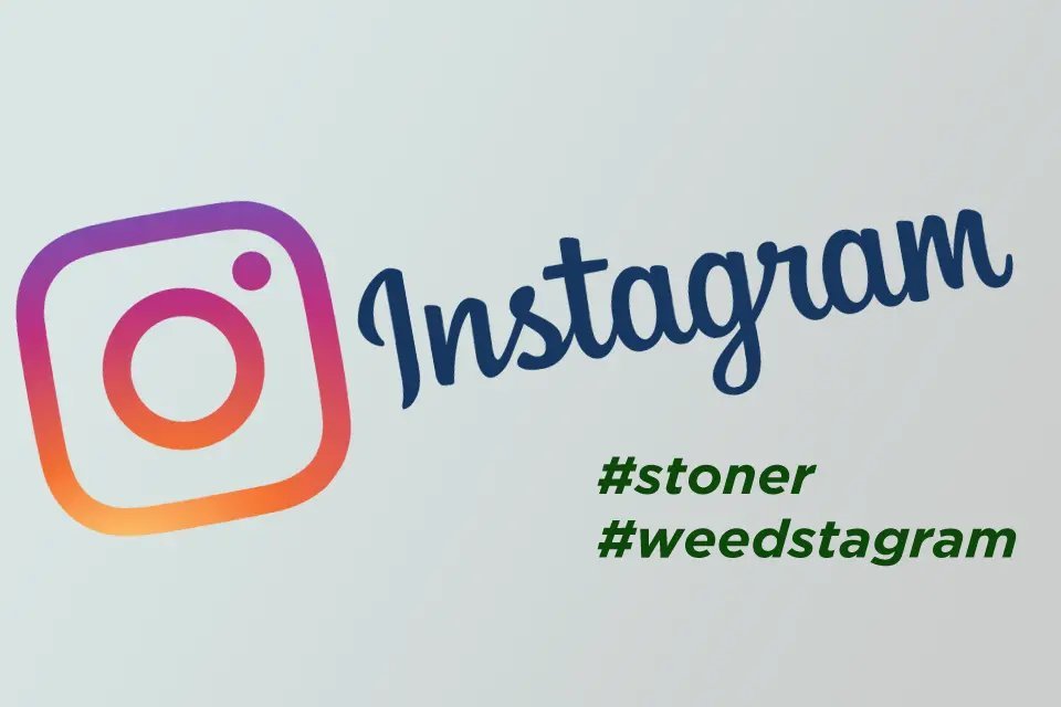 Novus_Stock's tweet image. Number #OfTheWeek: 84,000 rite.link/jkO8 #wallstreet, #marijuanastocks