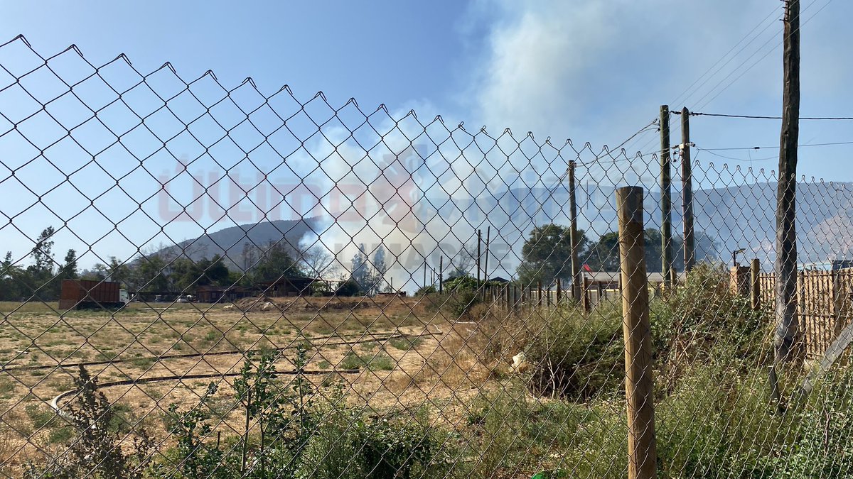 ÚltimoMinuto Limache tweet media