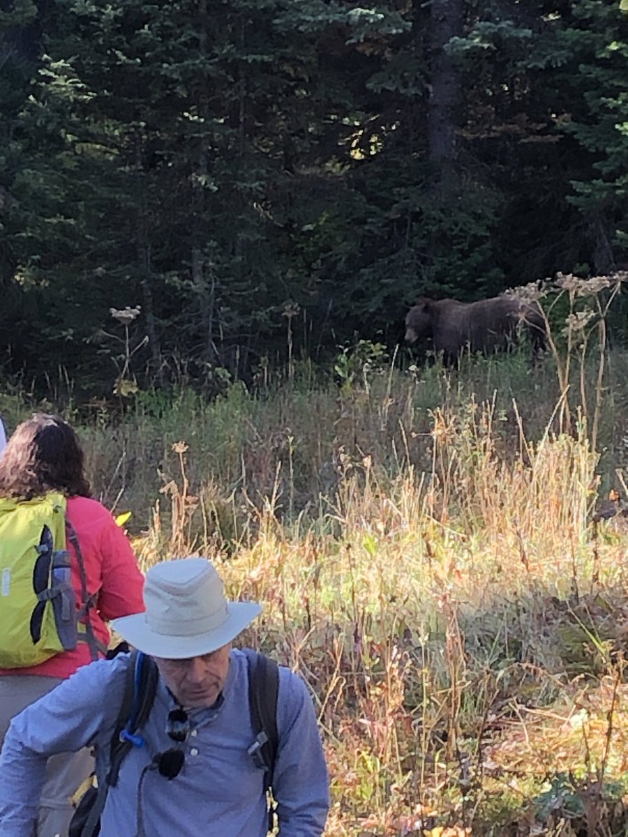 shaoshau's tweet photo. @NatlParkService https://t.co/RCtHH140RY