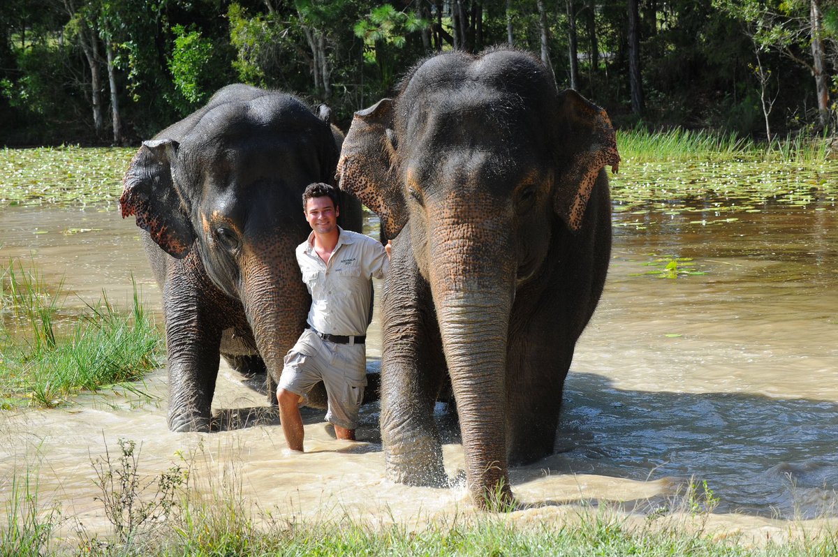 LukeReavley's tweet photo. 14 years ago, my life changed forever when I started working with these girls! 🥰 Love when these memories pop up! 🐘 https://t.co/8yMSRliagz