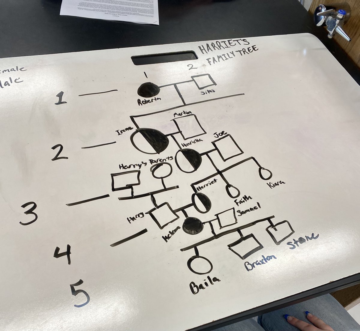 TelfordAmy's tweet photo. Lab Science students making pedigrees to figure out genetic ancestry of girl with albinism. #SalemWildcatPride #IllinoisSciTeacherAssn #DoScience https://t.co/oBdT3yZ4Dl