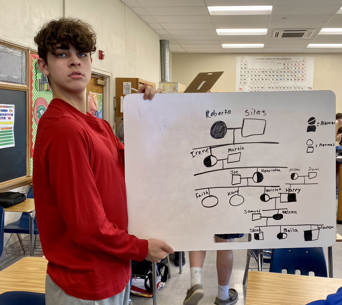 TelfordAmy's tweet photo. Lab Science students making pedigrees to figure out genetic ancestry of girl with albinism. #SalemWildcatPride #IllinoisSciTeacherAssn #DoScience https://t.co/oBdT3yZ4Dl