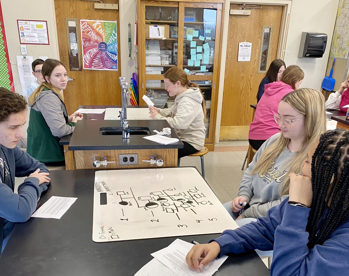 TelfordAmy's tweet photo. Lab Science students making pedigrees to figure out genetic ancestry of girl with albinism. #SalemWildcatPride #IllinoisSciTeacherAssn #DoScience https://t.co/oBdT3yZ4Dl