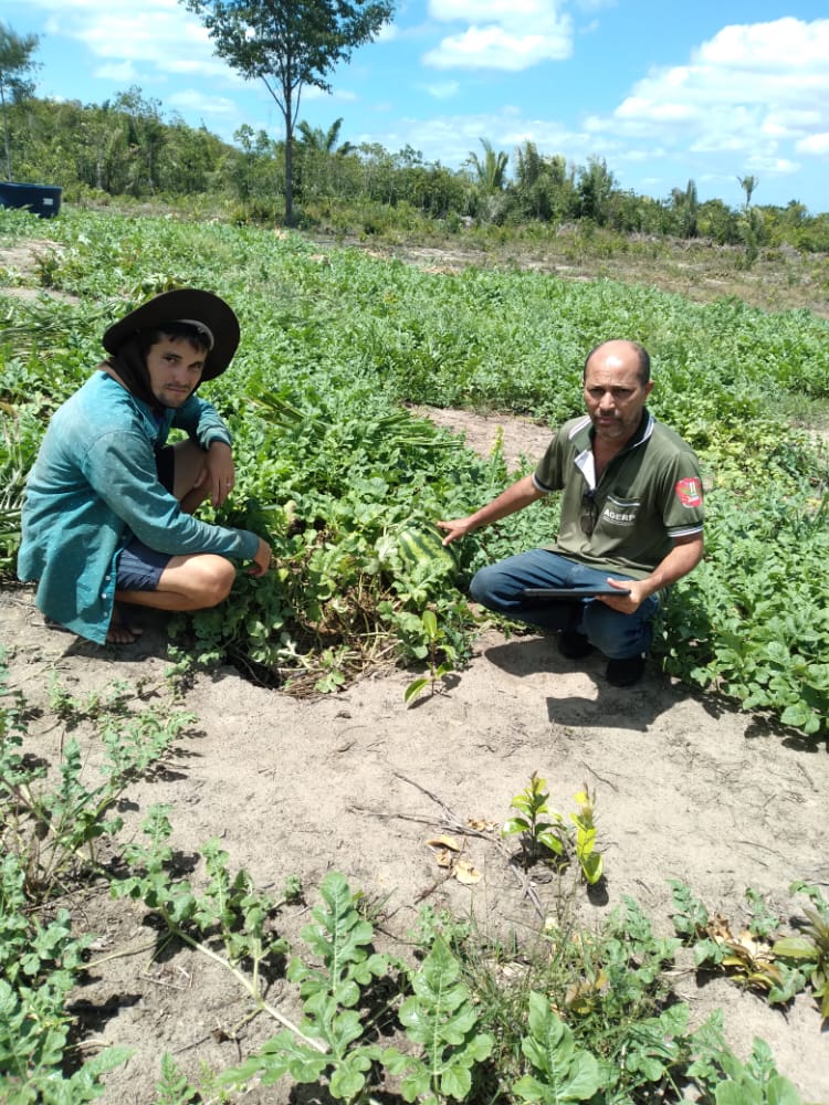 AGERP participa 1ª Feira Maranhense da Agricultura Familiar em São