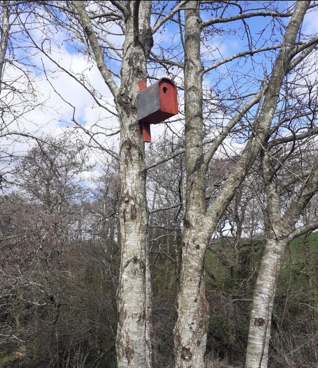 @KCSTechnologySubjec tweet media