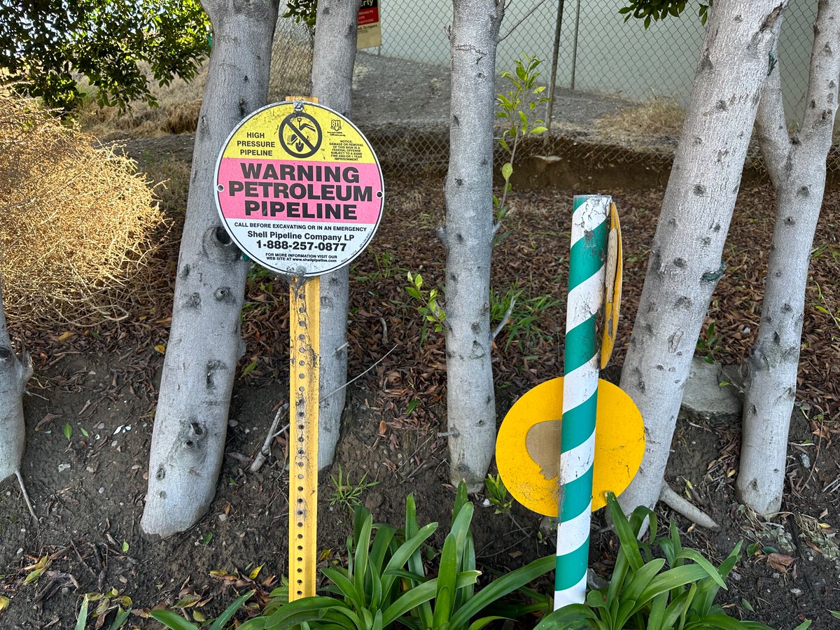 EVs and Sustainable Transport tweet media