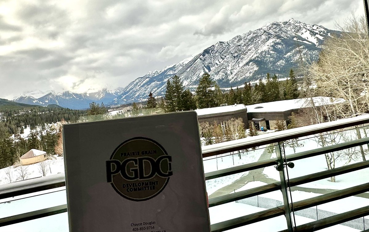 Great view during a conference! #EventCoordinator  #PGDC2023