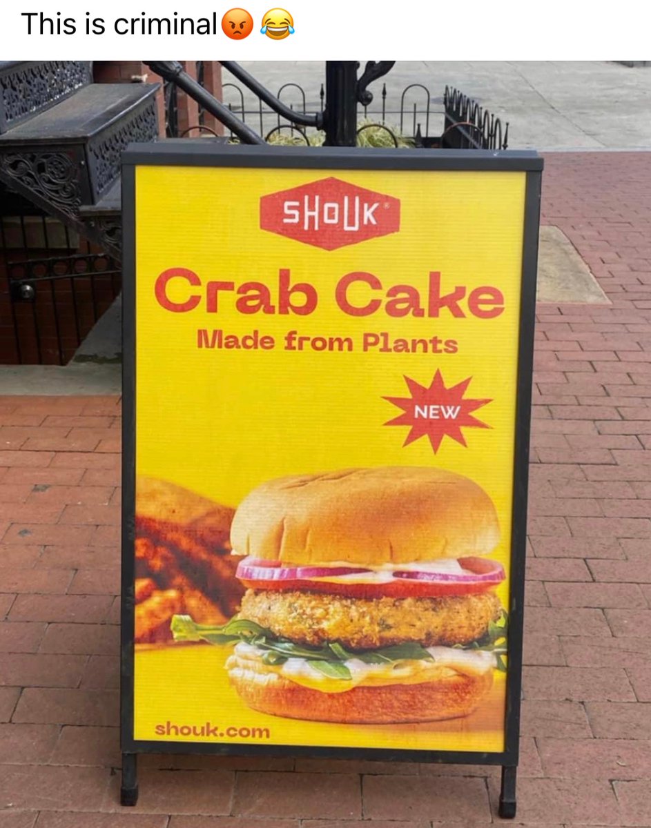 Christina Tkacik tweet media