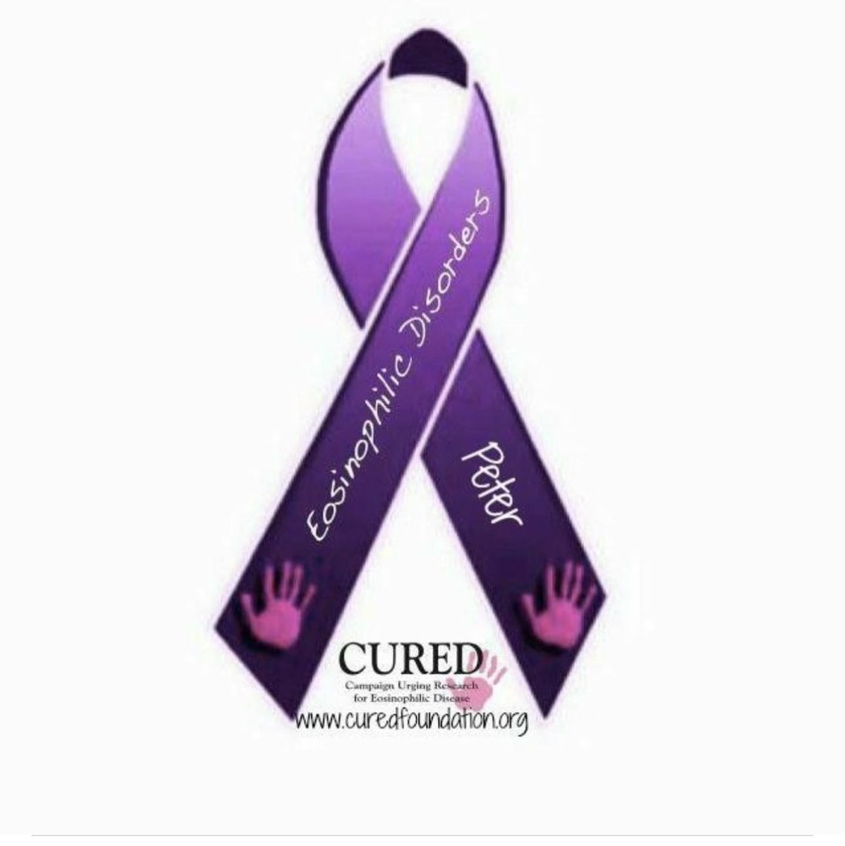 Pete Schuh tweet media