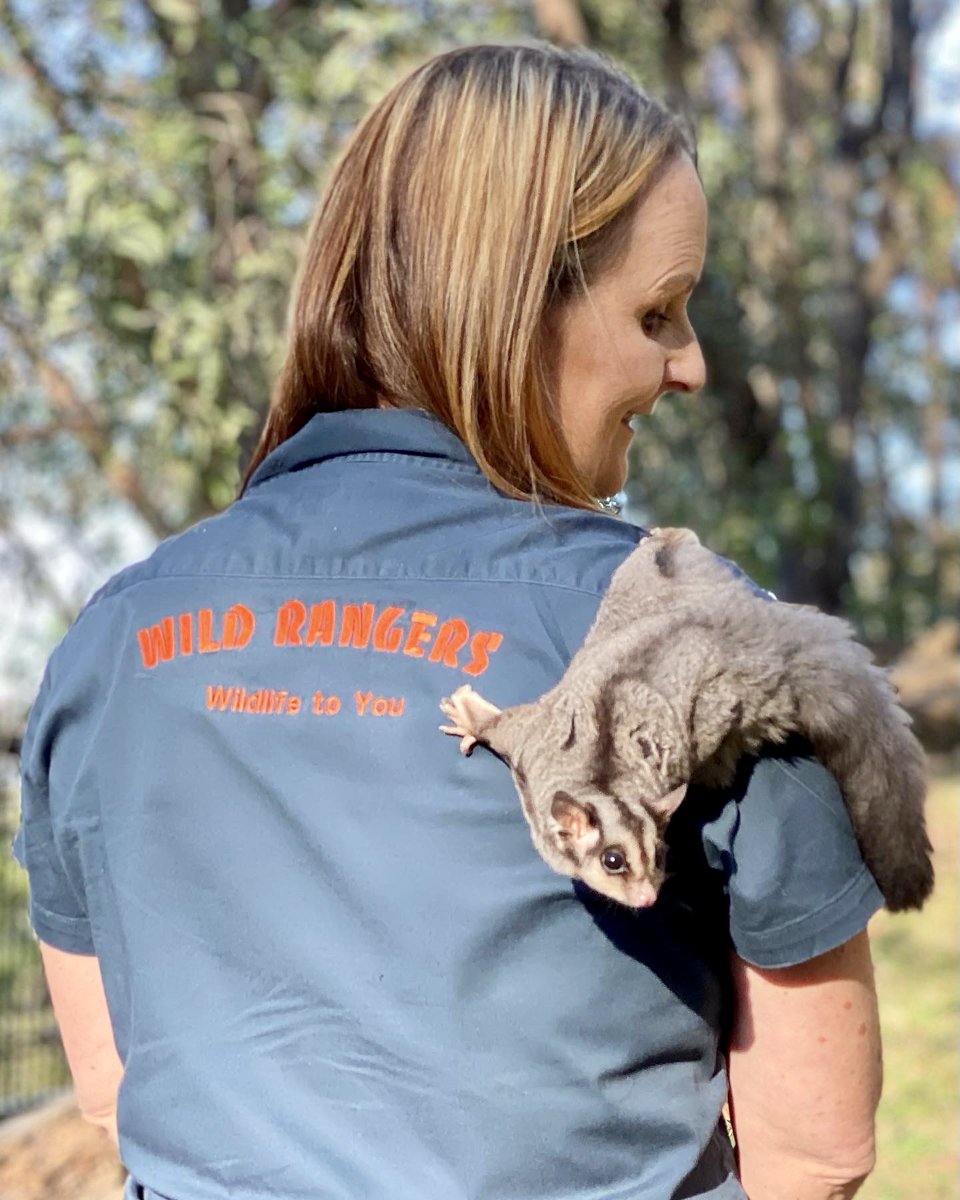 WSFBrisbane's tweet photo. Get cuddles with your fav animal friends at #WSFB2023. Experience the wonder of Wild Rangers Wildlife Encounters. Visitors will learn all about the day-to-day lives of our distinct wildlife, from mammals and marsupials to reptiles and more. 👀 🎟️ https://t.co/NhUAD34IEj https://t.co/yTsRpbDEvF