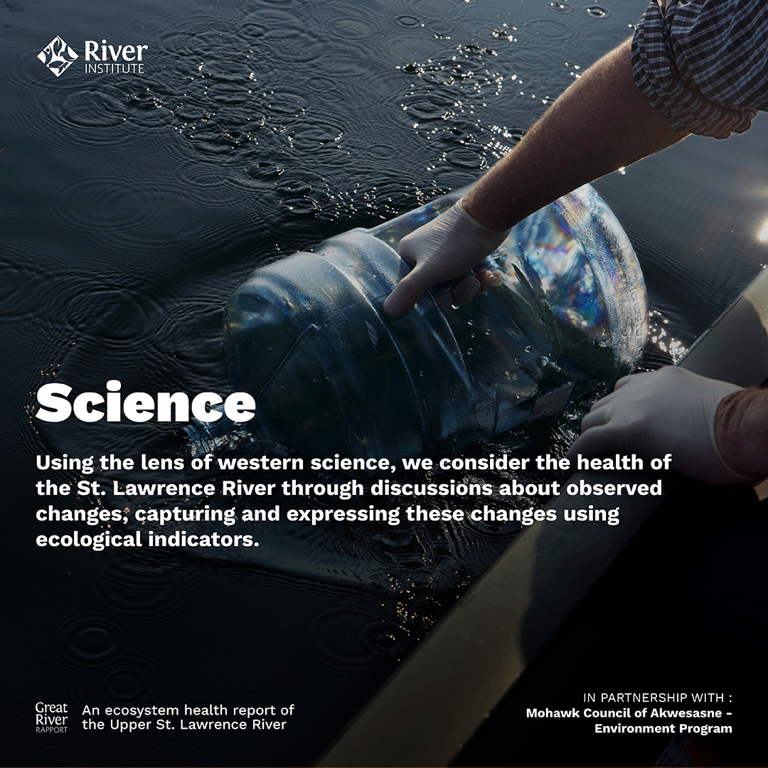 RiverInstituteC's tweet photo. Are you interested in the health of the river? Check out the Great River Rapport's updated website: https://t.co/913wl8MeqP We would like to thank the RBC Foundation for sponsoring this project since it started in 2018!👏 #RBCTechForNature #GreatRiverRapport https://t.co/gHxFbpxpFB