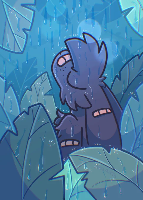 Feeling rainforest 