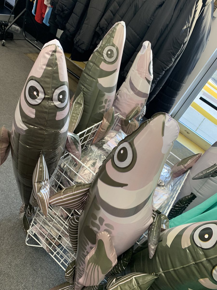 mikebreakfast's tweet photo. A fishy tale about the club who “sing when we’re fishing”. The magic of the @EmiratesFACup has brought inflatable haddocks back to life (don’t mention cod ) as Grimsby Town @officialgtfc go to @SouthamptonFC in 5th end weds eve. The story behind Harry @BBCBreakfast 2moro 630/830 https://t.co/JjxRFvfQhA