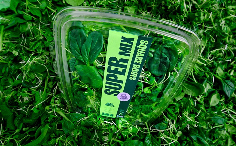 producenews's tweet image. #Capitalizing on the bad #weather Mother Nature has unleashed on the upper #Midwest this #winter, #indoor #grower Square Roots is #launching its first ever consumer #advertising #campaign #today with the tagline “#ThriveInside.” theproducenews.com/cea/square-roo…