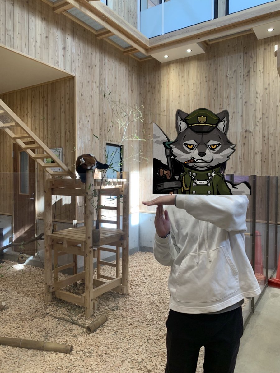 滑り込みですが、先日家族と共に動物園に行ってきました！
小さい頃に行ってから約10年ぶりの動物園、今見ると新鮮ですごく楽しかったです！
普段お目にかかれない動物も見れて、つい家族とはしゃいでしまいましたw
この機会を作ってくれたTMAには感謝です！

#TMAs
#TheMafiaAnimals
#動物園tomint