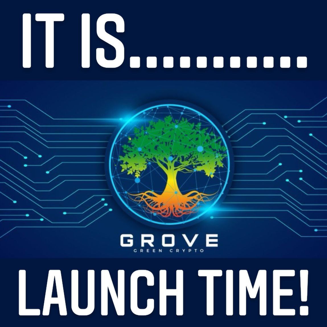 Amooor1st's tweet image. Today marks its one - year anniversary since launching. What a journey 🎉 

The future looks amazing and we will be there side by side. Stronger together 

Congratulations #GroveGreenArmy