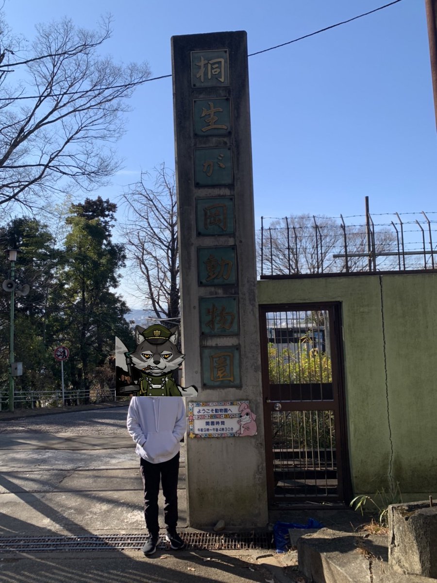 ふろん@NFT分析×マーケティング大学生 tweet media