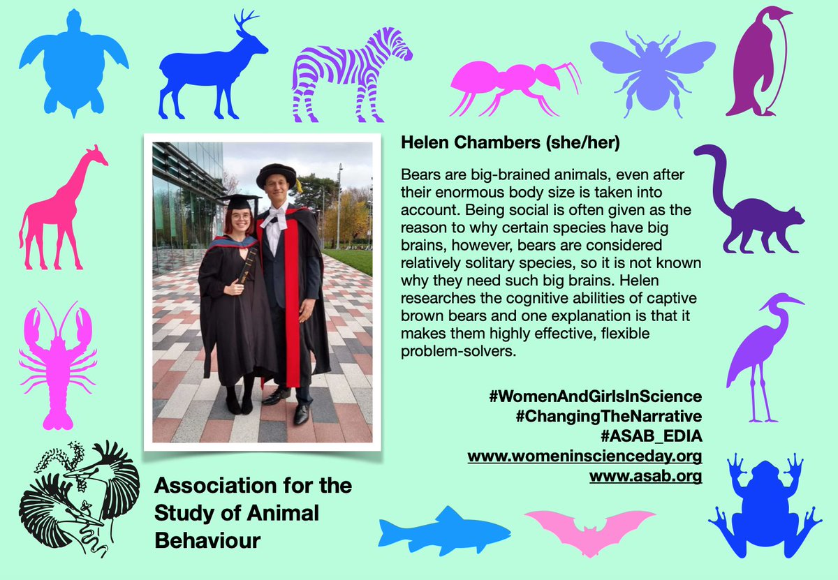 asab_org's tweet photo. Today's scientist is @misshrchambers Helen Chambers studies 🐻🐻🐻with @EERCSalford  and has just published a paper: https://t.co/HBNoiZCkSW  #WomenAndGirlsInScience #ASAB_EDIA https://t.co/fO59uQbcGv