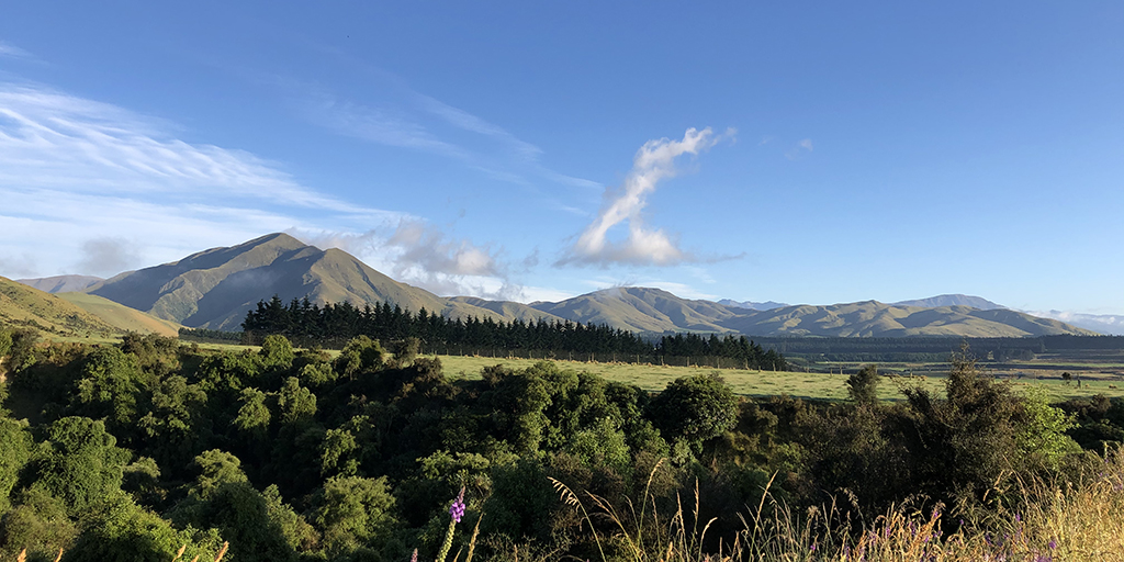 UNLSECD's tweet photo. Our communication sciences and disorders undergrad students have the opportunity to take a fall or spring semester at the University of Canterbury in Christchurch, New Zealand.
More details -> https://t.co/Q20YFJpp6N
#UNL #UNLCEHS #CEHSisGlobal #HuskersAbroad #GlobalNebraska https://t.co/aeMMoGRVD3