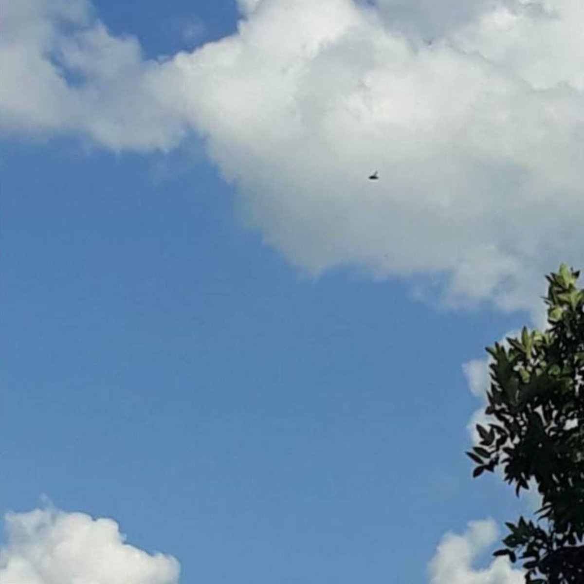 CHILE UFO tweet media