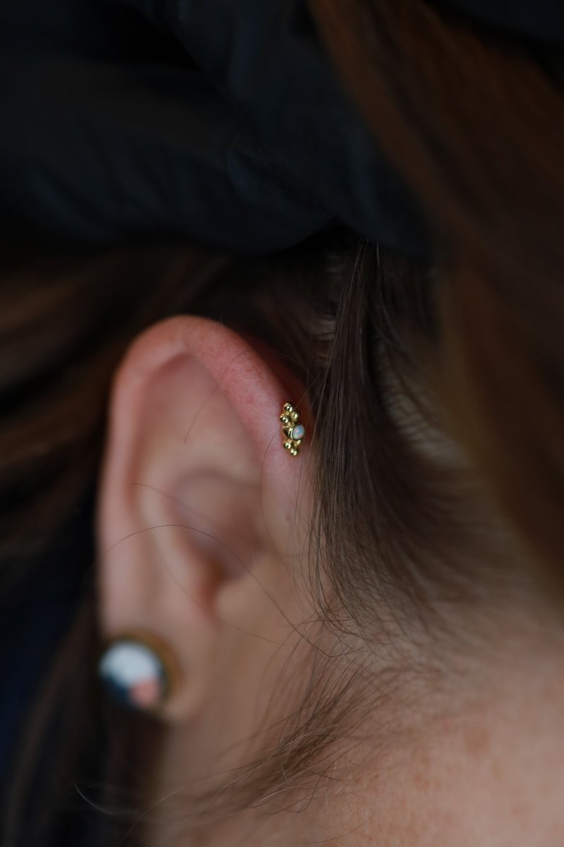 LAtelier171's tweet photo. Un beau bijou avec une opal en or jaune sur un foward hélix, le Sabrina de chez @ANATOMETAL  ❤️

#piercing #jewelry #percage #bijou #tattooshop #gold #opal #jewel https://t.co/8eUnpeWMZC