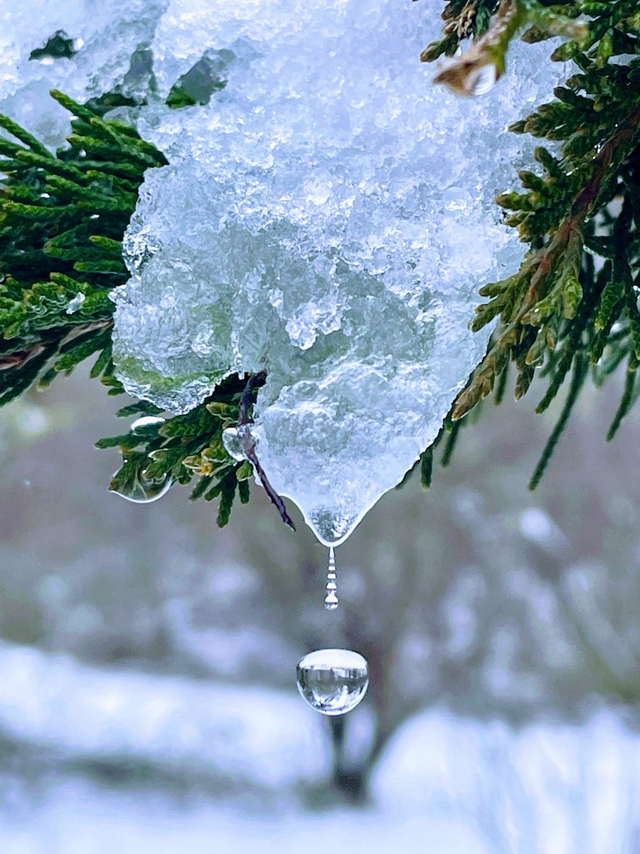 Snow day today! #snowday #snowflakes #snowlovers #ski #snowstorm #newenglandlife #secretparadiseart #snowart