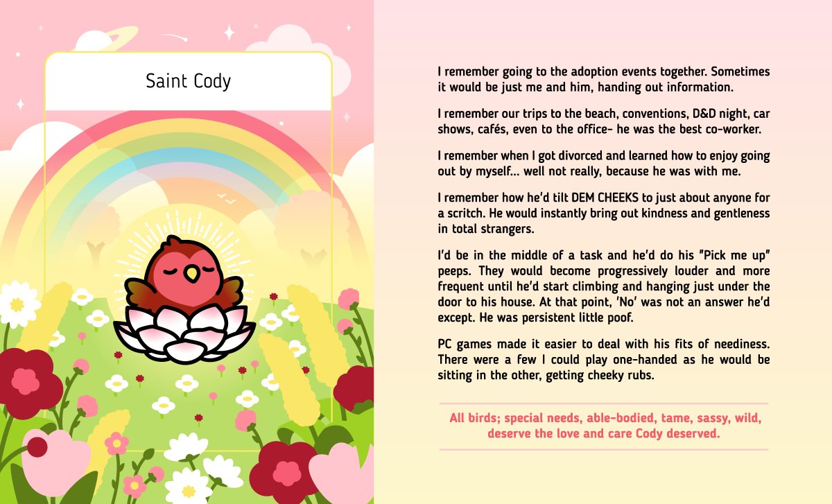 A few reasons why Cody was best boi. I will continue to try to honor his memory through Birdhism's mission. <3