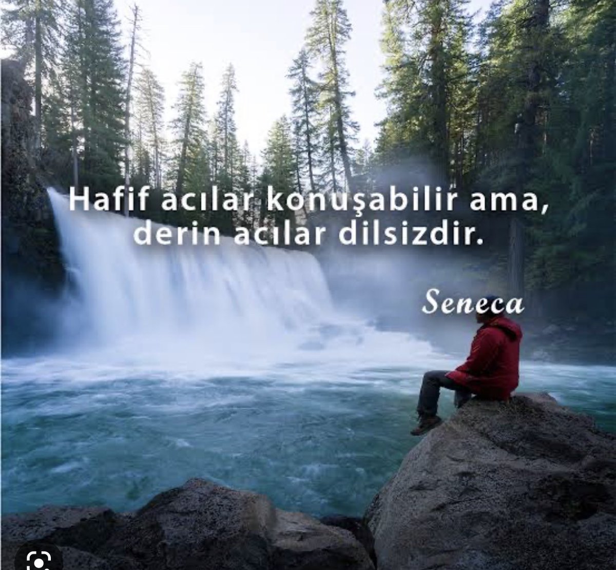 Özlem Demir tweet media