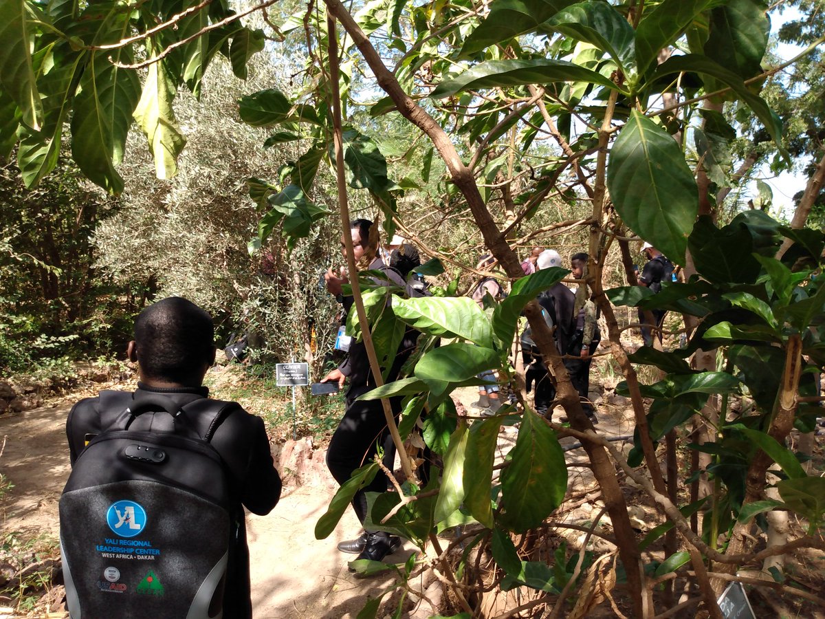 MawoussiL's tweet photo. Visite de terrain à #YENNE au #Sénégal pour profiter des expériences de la production bio à la ferme des 4 chemins.
Les civiquement engagés de @yalidakar ont été marqués par la possibilité d'atteindre l'autosuffisance alimentaire en #Afrique.
@USAIDWestAfrica
@USEmbassyLome https://t.co/7meoSPx5RT