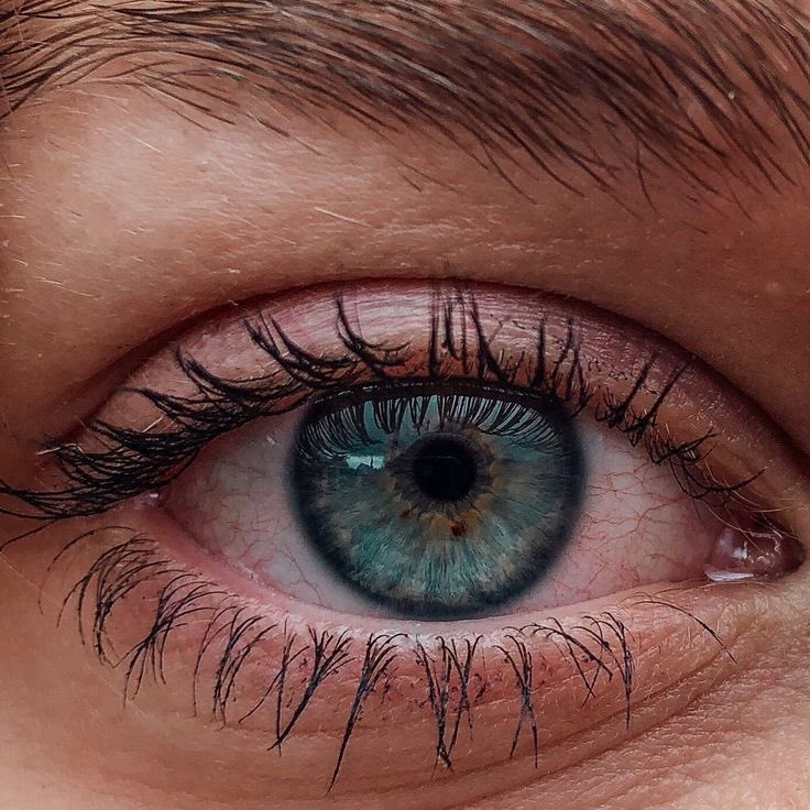 —• You can see ?