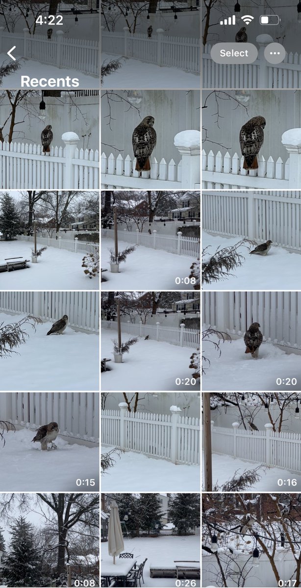 arh0112's tweet photo. Me: I’m still young and youthful 
My camera roll: incorrect https://t.co/U5k7zl3quV