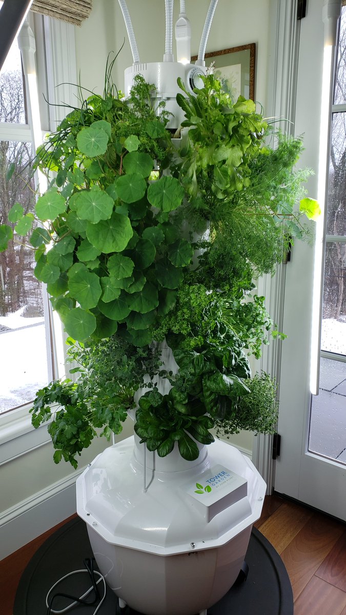 Mid-Jan, u r nicely asked if u would like to display <a href="/TowerGarden/">Tower Garden</a> at <a href="/UtopiaSeaport/">Utopia Seaport</a>  - New England's Premier Horticulture &amp; Epicurean Festival early March.  Lets Go!  1st 2 pics are 1/21, 3rd is today 2/28 - BOOM!  Come see us March 2-5, and let us show you how to #growyourown