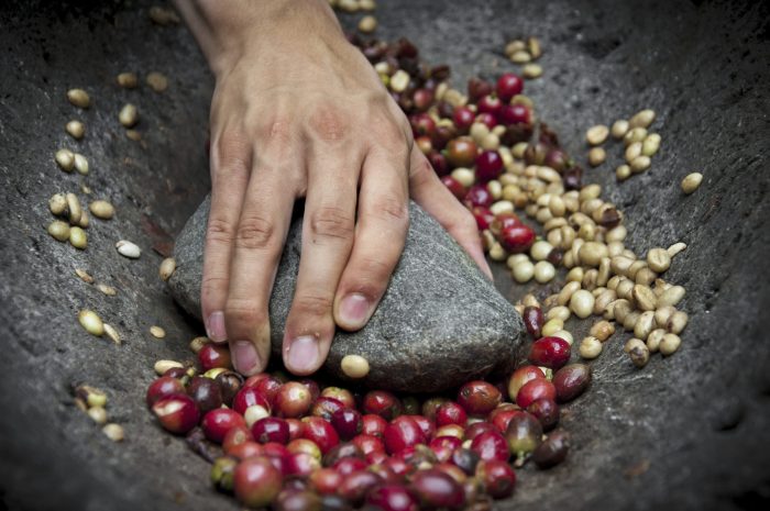 Coffee Beans UK tweet media