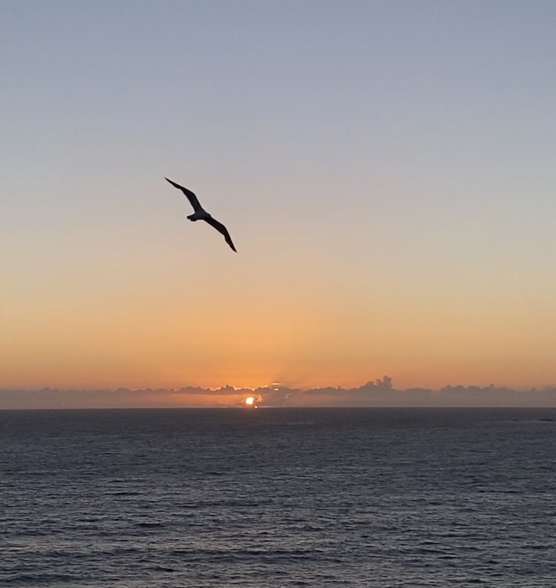 ftcarpe's tweet photo. hacemos un hilo de atardeceres, empiezo yo: https://t.co/knitxwHb9W