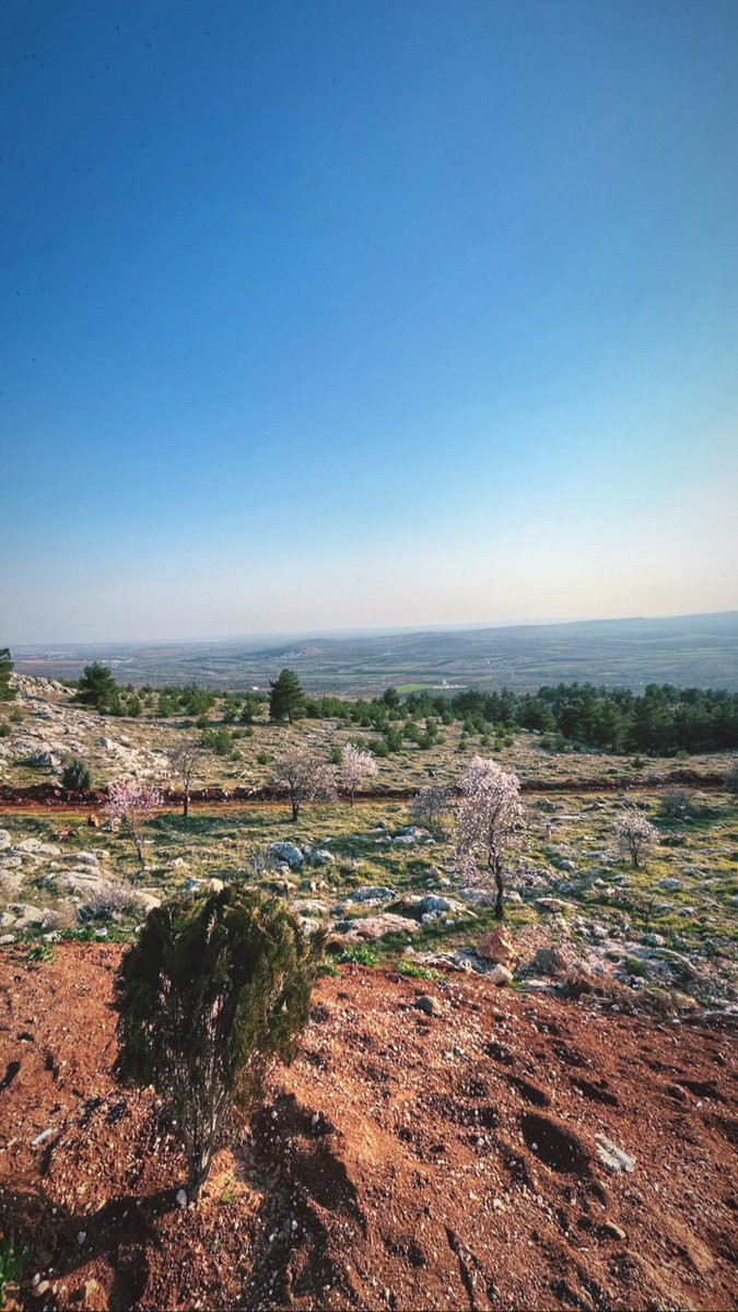 Martı cihandır ayrılış
Marta berekettir uyanış
Ve ben yurdumun yangınıyım
Duyduğum son yakarış