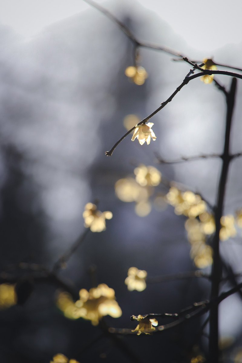 ___phoooto's tweet photo. #ファインダー越しの私の世界 
#写真で伝えたい私の世界 
#写真好きな人と繫がりたい 
#キリトリセカイ https://t.co/MuIjkbAUiL