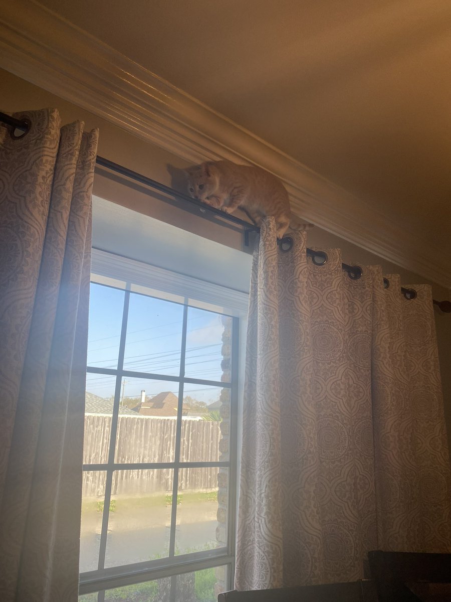 Kyle Pinkley tweet media