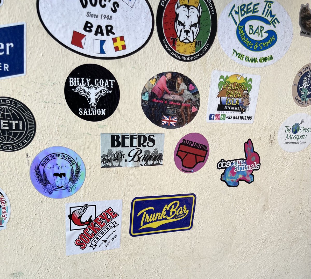 TrunkBar's tweet photo. Made the wall ๐ฎ๐น#TinyGecko https://t.co/SABQYYXRWb